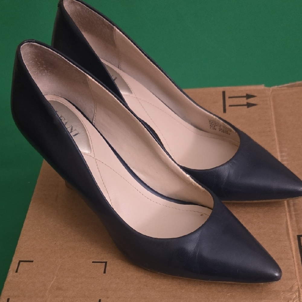 Alfani Elegant Blue Pointed Heels